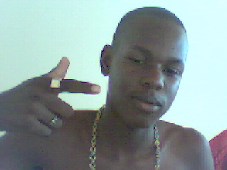 david